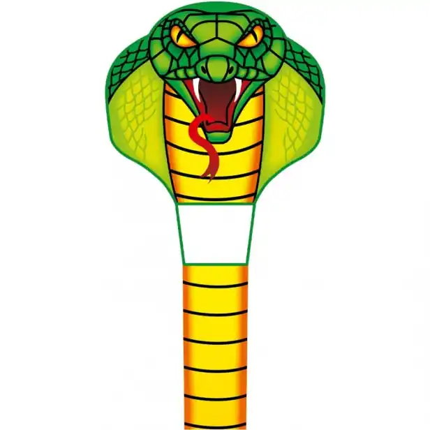 Ušetřete nyní - Létající drak Kite Emerald Cobra