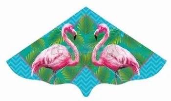 Objednejte dnes | Létající drak Flamingo