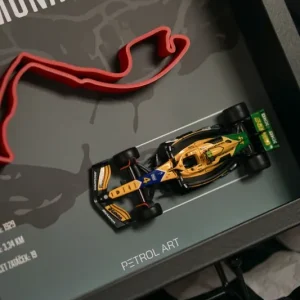 3D obraz PETROL ART - Lando Norris - Monaco - Cena od výrobce